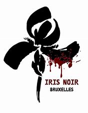 Salon de l'Iris Noir uk-cover
